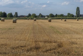 Large round barns are scattered across a golden field, framed by vibrant green trees under a partly
