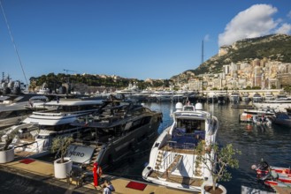 Harbour with luxury yachts, Monte Carlo, Cote d'Azur, Monaco