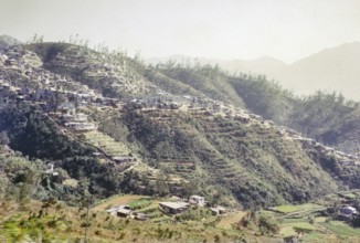 Squatter settlement huts on hillside, Pak Uk Tsai Road, New Territories, Kong Hong, Asia 1965