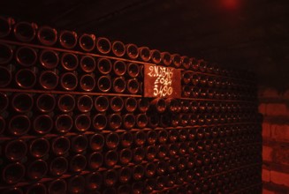 Champagne bottles, bottles stored in the cellar, champagne cellar of Moët & Chandon (Les Caves Moët