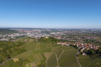 Aerial view of a vineyard with a view of a town and industrial plants in the background, view of