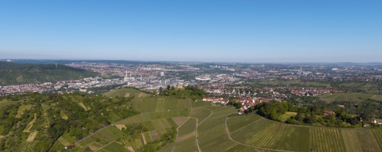 Panoramic view over extensive vineyards with a town and industry in the background, view of