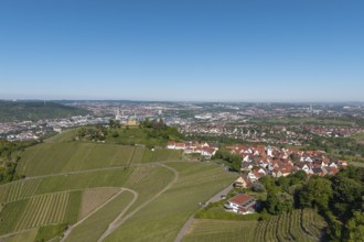 Vineyards surrounded by houses with view of Stuttgart, clear view and blue sky, view of Rotenberg