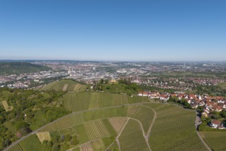Urban surroundings with vineyards and buildings under a blue sky, view of Rotenberg near Stuttgart