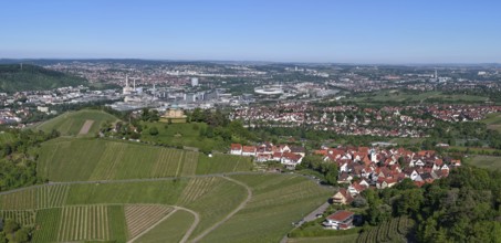 Panoramic view of a town with surrounding vineyards under a clear blue sky, view of Rotenberg near