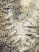 Broken, rocky ground with sparse vegetation. Aerial view. Drone shot. Southern Namibia
