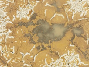 Salt marsh at the Skeleton Coast. Aerial view. Drone shot. Dorob National Park, Namibia