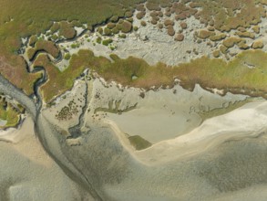 Marshes and streams at low tide in the Walvis Bay Lagoon. Aerial view. Drone shot. Namibia