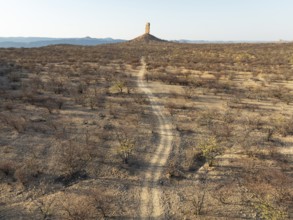 The Vingerklip (rock finger) is surrounded by thornbush and mopane (Colophospermum mopane) savanna.