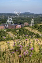 The double headframe of the disused Ewald mine, shaft 7, on the right headframe shaft 2, in Herten,
