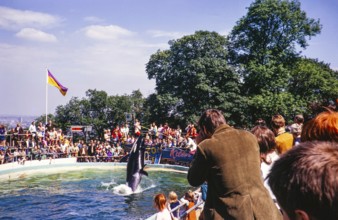 Crowd of people in audience watching performance by Cuddles the Killer Whale, Dudley Zoo, West