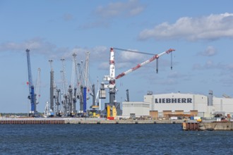 Overseas harbour, Liebherr-MCCtec, heavy-duty crane TCC 78000, Warnow, Warnemünde, Rostock,