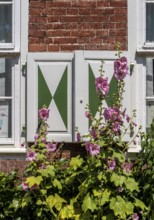 Detail photo, Houses in the Holländerviertel, Old Town of Potsdam, Brandenburg, Germany