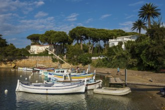 Beach and colourful boats, Plage de I'Olivette, Cap d'Antibes, Antibes, Provence Alpes Côte d'Azur,