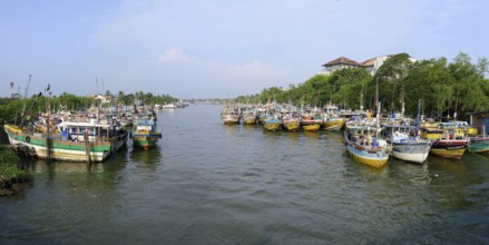 Fishing boats in Negombo river harbor, Sri Lanka
