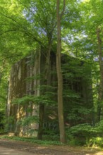 Mossy air-raid shelter on the eastern edge of the Bürgerpark on Parkallee, built during the Nazi