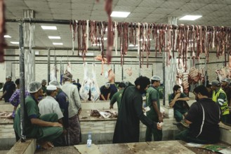 Market hall, section of camel butchers, Salalah, Dhofar, Oman