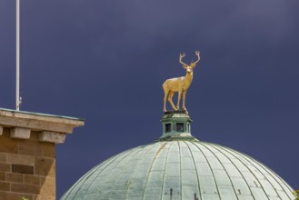 Art building on Schlossplatz designed by architect Theodor fisherman. A golden stag stands on the