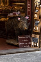 Stuffed wild boar with a basket of salami in front of a delicatessen, San Gimignano, Tuscany, Italy