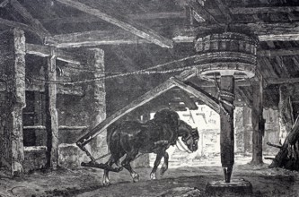 Mining horse turning the gin in a mining operation, digitally enhanced reproduction of a 19th