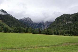 Green meadow against a mountain backdrop with clouds and wooded slopes, Zgornje Jezersko,