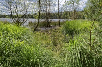 The Bullensee is located in a moorland area and is part of the Bullensee and Hemelsmoor nature
