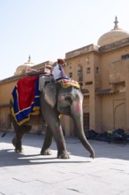 Indian mahout on colourfully painted elephant in the Amber Fort or fortress, Jaipur, Rajasthan,