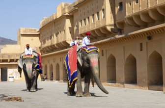 Indian mahouts on colourfully painted elephants in the Amber Fort or fortress, Jaipur, Rajasthan,