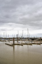 Pauillac, Gironde Estuary, Bordeaux, Gironde, Nouvelle-Aquitaine, France
