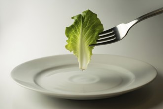 Close-up of fork holding lettuce leaf above white plate on white background. Concept of strict diet