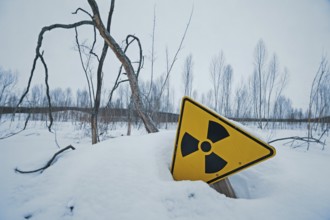 Radiation warning sign protrudes from snow in lifeless forest. Symbol of environmental fallout.