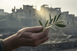 Man's hand holding olive branch against backdrop of war-torn city. Symbol of peace amid destruction