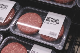 Eef patties in refrigerator at supermarket. Concept of lab-grown artificial meat as sustainable