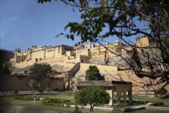 Amber Fort or fortress on the Aravalli hill range, Jaipur, Rajasthan, India