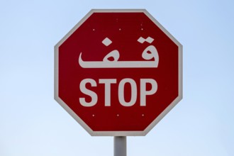 Traffic sign Stop, Abu Dhabi, United Arab Emirates