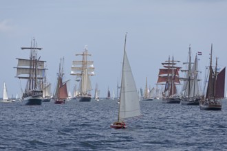 Sailing ships, windjammer parade, Kieler Woche, Kiel Fjord, Kiel, Schleswig-Holstein, Germany