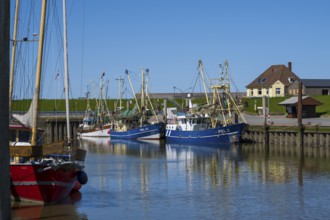 Fishing boats in the harbour of Tammensiel, Pellworm Island, North Frisia, North Sea, North Frisia,