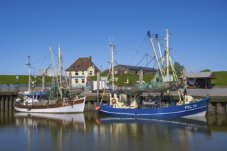 Fishing boats in the harbour, Tammensiel, Pellworm Island, North Frisia, North Sea,