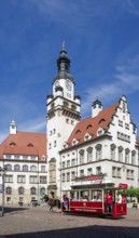 Döbeln tram, historic horse-drawn tram at the Döbeln upper market, rail transport, local public