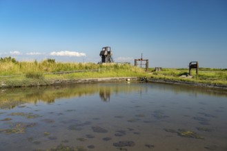 Pointe d'Arçay Nature Reserve in L'Aiguillon-la-Presqu'ile, France