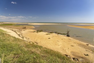 Beach and lagoon at the Belle Henriette L'Aiguillon-la-Presqu'ile National Nature Reserve, France