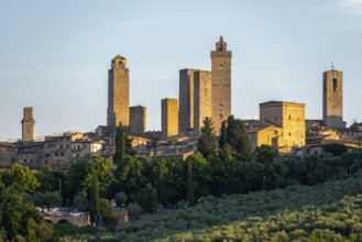 San Gimignano, also known as Medieval Manhattan, UNESCO World Heritage Site, San Gimignano,