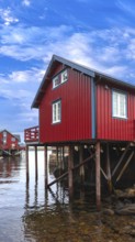 Scenic fishing village A in Lofoten Islands with authentic fishermen sheds and museum