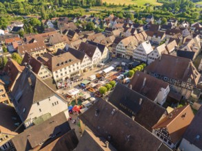 Aerial view of a village with red roofs and green surroundings in sunny summer light, 950 years