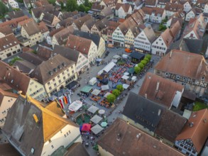 Aerial view of a town festival, surrounded by houses and trees, showing the dense town panorama,
