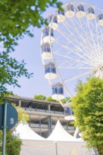 Ferris wheel and tents in an urban setting, framed by trees against a bright summer sky, Calw,