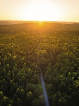View of a forest at sunset, a narrow road in the centre, atmospheric light, Althengstett, district