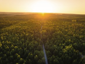 Panoramic view of a forest at sunset, emphasised road, warm evening light, Althengstett, district