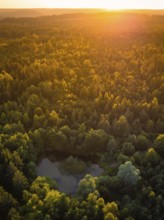 A pond in the forest at sunset, surrounded by dense trees and soft light, Althengstett, district of