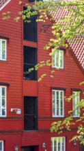Norway, scenic Trondheim town. Bakklandet, a famous tourist travel destination with colorful houses